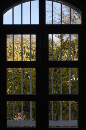 Window closed with metal bars with view to the outside.の写真素材
