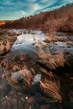 View of a beautiful and healthy countryside river in the Algarve region.