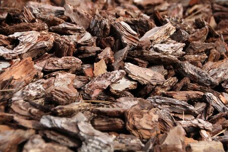 Close view Texture crushed shredded  fragments bark of wood.