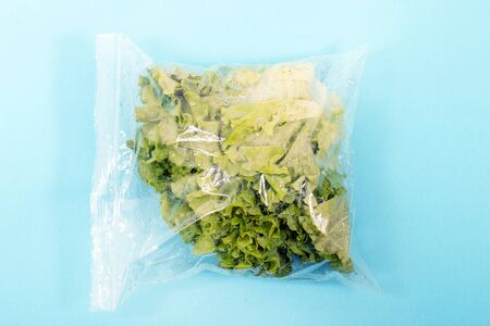 fresh organic vegetable lettuce from the grocery market on a plastic bag.