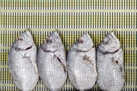Raw Gilt-head bream fish on a bamboo rolling mat.の写真素材
