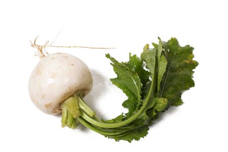 fresh organic white turnip root from the grocery market isolated on a white background.の写真素材