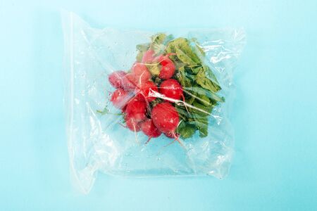 fresh organic vegetable radish roots from the grocery market on a plastic bag.の写真素材
