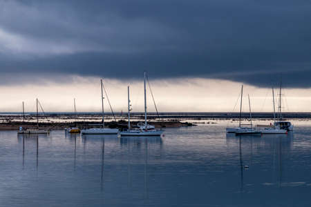 Close up view of a pink feather on white background.の写真素材