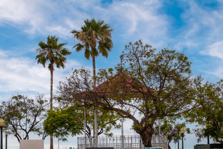 Beautiful historical gazebo of Faro city located in the urban park Manuel Bivar near the docks.の写真素材