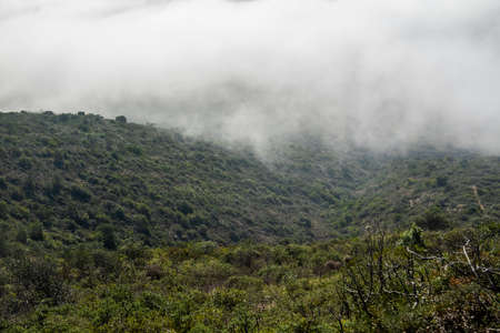 Misty morning fog on the hills of Sao Miguel on the Algarve region, Portugal.