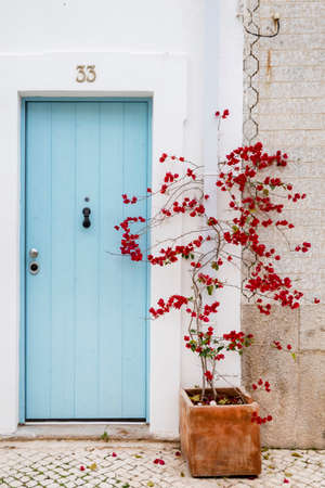 Typical architecture door with intricate design details of traditional Portuguese buildings.の写真素材