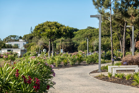 Calm relaxing walking stone path in Quinta do Lago region, Algarve, Portugal.
