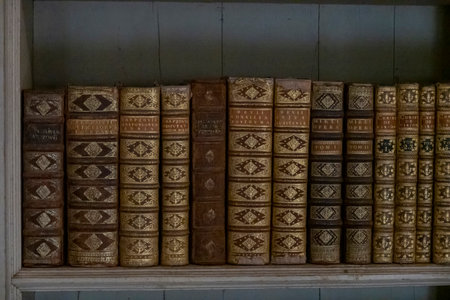 MAFRA, PORTUGAL - 29th JUNE 2022: Antique library books with intricate golden design details of the famous convent of Mafra located in Portugal, Europe.のeditorial素材