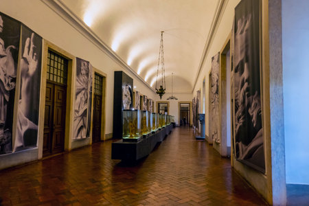 MAFRA, PORTUGAL - 29th JUNE 2022: Close up view of an ancient highly detailed exhibition room with statue replicas at display on the convent of Mafra, Portugal.のeditorial素材