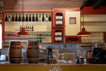 MAFRA, PORTUGAL - 29th JUNE 2022: Partial view of the famous house museum of Jose Franco, located on Mafra municipality, depicting several urban architectural traditions and way of life of the Portuguese culture.のeditorial素材