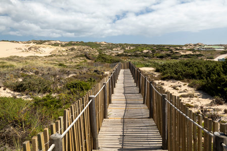 Beautiful view of the Guincho wooden pathway through the sand dunes, located in Sintra, Portugal.の写真素材