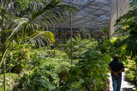 Interior view of a section from the Cold Greenhouse garden located in Lisbon, Portugal.の写真素材