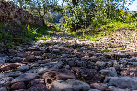 Old roman road in the countryside located in the region of the Algarve, Portugal.の写真素材