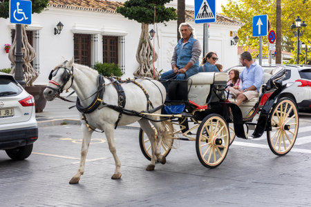 Mijas, Spain - October 22, 2023: Donkey taxis used by tourists in the village of Mijas, Spain.のeditorial素材