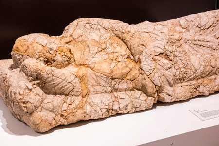 Malaga, Spain - October 21, 2023: Display of pieces of roman artifacts at Museum in Spain.のeditorial素材