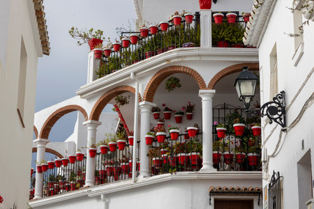 Mijas, Spain - October 22, 2023: Typical potted plants on Mijas village, located in Andalusia, Spain.のeditorial素材