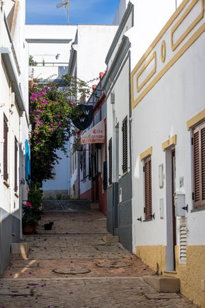 A sunny day on the Albufeira city downtown featuring a typical narrow street.の写真素材