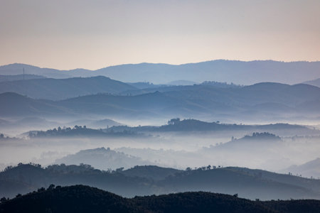 Fog condensation on the mountains of the Monchique region, Alferce, Portugal.の写真素材