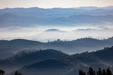 Fog condensation on the mountains of the Monchique region, Alferce, Portugal.の写真素材