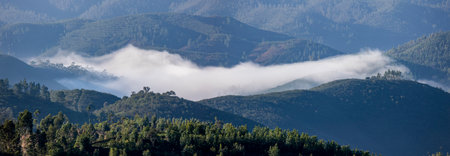 Fog condensation on the mountains of the Monchique region, Alferce, Portugal.の写真素材