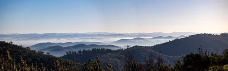 Fog condensation on the mountains of the Monchique region, Alferce, Portugal.の写真素材