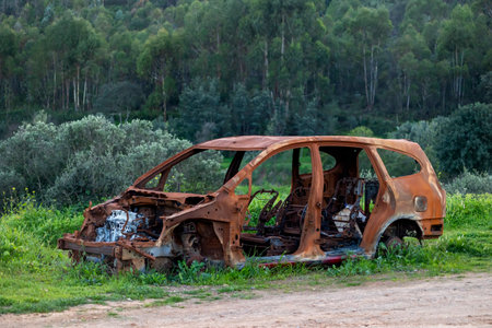 Burned out vehicle in the woods, rusted metal.の写真素材