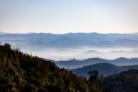 Fog condensation on the mountains of the Monchique region, Alferce, Portugal.の写真素材