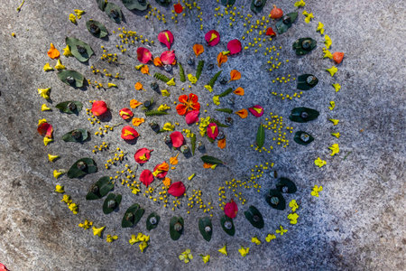 Geometric circular flower mandala, used as symbolism of unity and balance in nature.の写真素材
