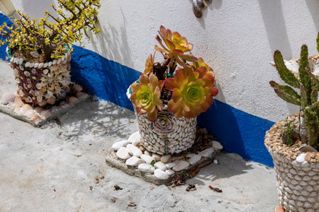 Close up view of a collection of vases with plants and objects encrusted with seashells.の写真素材
