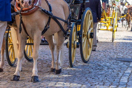 Detail of a Carriage coupling traditional event traditional event with beautiful carriages with horses and person dressed for the occasion.の写真素材
