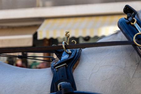 Detail of neck of horse on Carriage coupling traditional event with beautiful carriages with horses and person dressed for the occasion.の写真素材