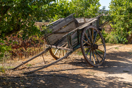 Close up view of an Old abandoned cart wheel.の写真素材