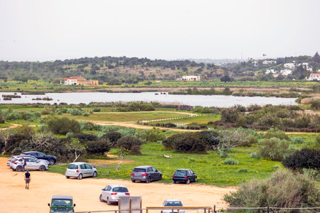 View of the natural marshlands near Armacao de Pera in the Algarve region, Portugal.の写真素材
