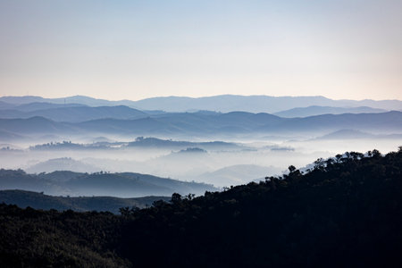 Fog condensation on the mountains of the Monchique region, Alferce, Portugal.の写真素材