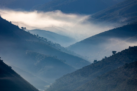 Fog condensation on the mountains of the Monchique region, Alferce, Portugal.の写真素材