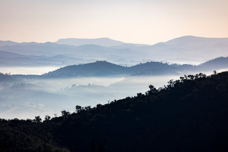 Fog condensation on the mountains of the Monchique region, Alferce, Portugal.の写真素材