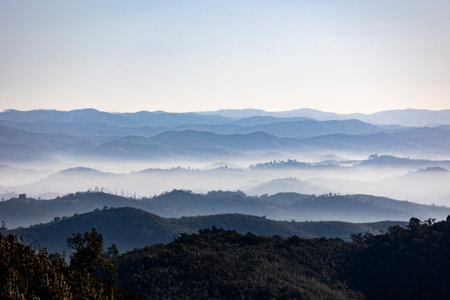 Fog condensation on the mountains of the Monchique region, Alferce, Portugal.の写真素材