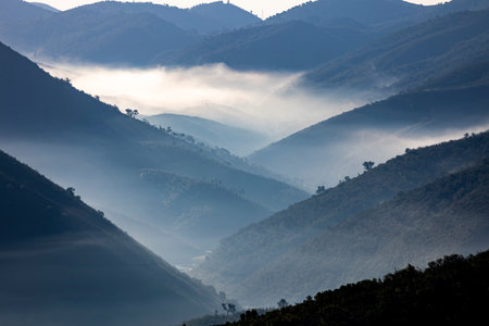 Fog condensation on the mountains of the Monchique region, Alferce, Portugal.の写真素材