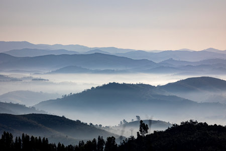 Fog condensation on the mountains of the Monchique region, Alferce, Portugal.の写真素材