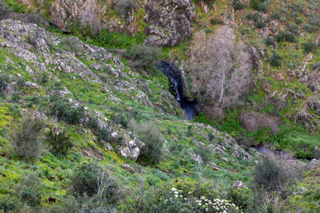 Close up view of stream of water in the mountains of Monchique region, Portugal.の写真素材