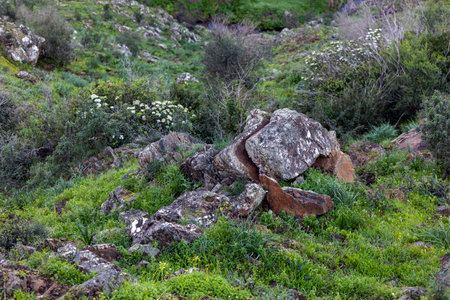 Close up view of rock formation in the mountains of Monchique region, Portugal.の写真素材