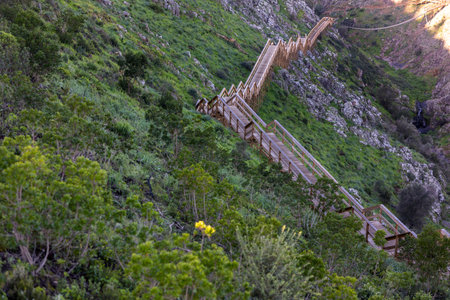 Wooden path in the mountain used by many hiking tourists, located in Alferce, Monchique, Portugal.の写真素材