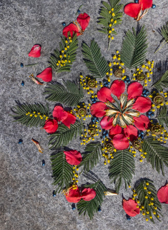 Geometric circular flower mandala, used as symbolism of unity and balance in nature.の写真素材