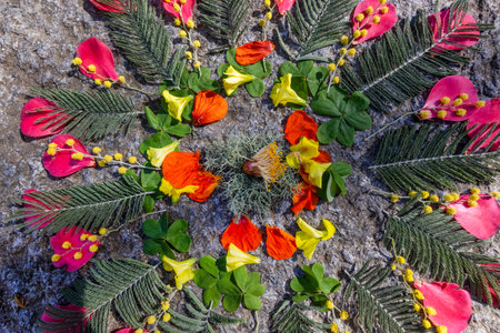 Geometric circular flower mandala, used as symbolism of unity and balance in nature.の写真素材