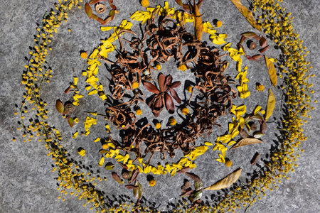 Geometric circular flower mandala, used as symbolism of unity and balance in nature.の写真素材