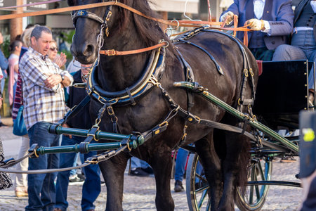 SAO BRAS DE ALPORTE, PORTUGAL - 4th MAY 2024: Period representation event of Carriage coupling traditional event with beautiful carriages with horses and person dressed for the occasion.のeditorial素材