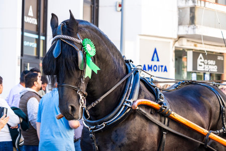 SAO BRAS DE ALPORTE, PORTUGAL - 4th MAY 2024: Period representation event of Carriage coupling traditional event with beautiful carriages with horses and person dressed for the occasion.のeditorial素材