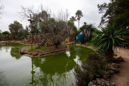 LAGOS, PORTUGAL - 17th JANUARY 2024: Photo of the monkey ponds in the Zoo of Lagos located in the Algarve region, Portugal.のeditorial素材