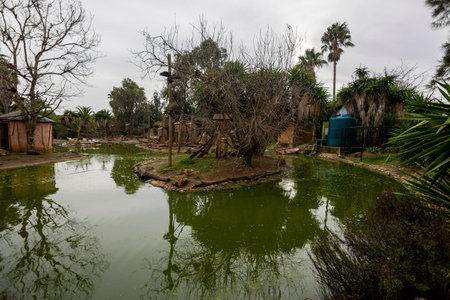 LAGOS, PORTUGAL - 17th JANUARY 2024: Photo of the monkey ponds in the Zoo of Lagos located in the Algarve region, Portugal.のeditorial素材